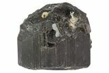Black Tourmaline (Schorl) Crystal - Namibia #69176-1